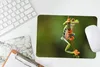MuchoWow® Mauspad Mousepad Rotaugenlaubfrosch im Dschungel Produktbild-Vorschau 5