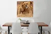 MuchoWow® Poster Löwe - Wilde Tiere - Jungtier 75x75 cm - Produktbild-Vorschau 2