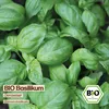 Samenliebe  Basilikum Samen | italienischer Genoveser - Produktbild-Vorschau 4