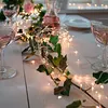 LED Mini-Lichterkette – 10er Set, je 2 m, 20 LEDs, Produktbild-Vorschau 10