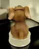 Kremers Schatzkiste Spardose Hund Haustierkasse 17 x 11x9cm Produktbild-Vorschau 6