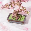RoboTime 3D Holzpuzzle Bonsai sakura Produktbild-Vorschau 3