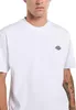DICKIES - T-shirt uomo Summerdale - Taglia L Anteprima dell’immagine prodotto 10