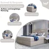Boxspringbett Vivre Bonellfederkern inkl. Topper Produktbild-Vorschau 3