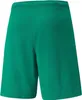 Nd05_S9843-Xl 704942 05 Spodenki Meskie Puma Team Podgląd zdjęcia produktu 2