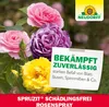 Neudorff Spruzit AF Schädlingsfrei RosenSpray 750 ml Produktbild-Vorschau 6