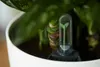 A close-up of a plant moisture meter inserted into the soil of a potted plant. Produktbild-Vorschau