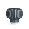 A close-up studio shot of a gray ceramic grinder with white vertical lines. Podgląd zdjęcia produktu