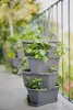 Gusta Garden PAUL POTATO STARTER, Vertikale Pflanzmaschine, Produktbild-Vorschau 6