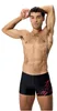 Speedo Medley Logo Badehose Herren chlorbeständig, Produktbild-Vorschau 2
