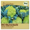 Samenliebe  Blumenkohl Samen | Verde di Macerata - grün - Produktbild-Vorschau 1