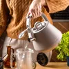 Flötenkessel 2.5L Edelstahl Induktion Pfeifkessel Matt Grau Produktbild-Vorschau 22
