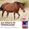 Supravit Elektrolyte für Pferde 1 Liter | Flüssige Produktbild-Vorschau 3