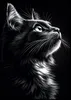 Plakat 70x100cm Tierporträt für das Wohnzimmer | Katze | Produktbild-Vorschau 1
