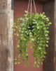 Dekoratívna rastlina Sľuda Dekorácie golier 81 cm Ficus Náhľad obrázku produktu 6