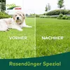 CUXIN DCM Rasendünger Spezial Minigran 3 kg Produktbild-Vorschau 8