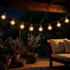 Guirlande lumineuse avec 8 ampoules LED pour l'extérieur et Voir les images du produit 8