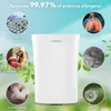 A white air purifier is shown in the center, surrounded by circular images illustrating the allergens it removes, such as bacteria, viruses, fine dust, mold, pollen, and animal-related allergens. Green leaves frame the image. Produktbild-Vorschau