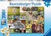 Süße Tierbabys Ravensburger 13353 Produktbild-Vorschau 1
