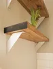 Two wooden shelves are mounted on a light beige wall with white brackets. A small green plant is on the top shelf. Produktbild-Vorschau