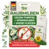 Raubmilben gegen Thripse, Spinnmilben & Weiße Fliegen - 2x Produktbild-Vorschau 1
