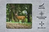 MuchoWow® Mauspad Mousepad Rotwild - Wald - Tier 20x20 cm - Produktbild-Vorschau 2