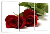 Visario Leinwandbild Rote Rosen 160x90 cm – 3-teilig, Bild Produktbild-Vorschau 1