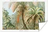 MuchoWow® Poster Vintage - Alte Meister - Farne - Pflanzen Produktbild-Vorschau 1