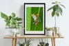 Bild - Bilderrahmen - 40 cm x 60 cm - MDF - Rahmen - Produktbild-Vorschau 2