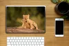 MuchoWow® Laptop Aufkleber Sticker Cover Löwe - Wilde Tiere Produktbild-Vorschau 2