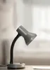 A gray desk lamp with a flexible neck is placed on a surface, with a blurred background. Anteprima dell’immagine prodotto
