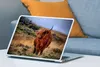 MuchoWow® Laptop Aufkleber Sticker Cover Schottische Produktbild-Vorschau 4