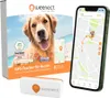 Weenect Weenect Tracker Hund Weiß Produktbild-Vorschau 18