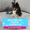 Coolpets Premium Solid Gel Coolmat L (60x90cm) Produktbild-Vorschau 5