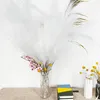 Künstliche Pampasgras,Kunstpflanze, 8Pcs 80cm, Flauschig Produktbild-Vorschau 7
