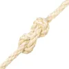 vidaXL Lano 100% sisal 10 mm 25 m Náhled obrázku produktu 2