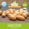 Artikelbild 2 von 'BIO Wintersteckzwiebel Shakespeare' aus der Kategorie Wintersteckzwiebeln Produktbild-Vorschau
