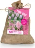The Pink Bag Blumenzwiebel-Set, 50 Rosa Blumenzwiebeln, Produktbild-Vorschau 1