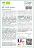 SAFLAX  -- Ciboule - Ishikura - 150 graines - Allium Voir les images du produit 3
