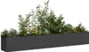 A long, dark planter box filled with various green plants and some yellow flowers, set against a white background. Anteprima dell’immagine prodotto