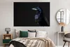 MuchoWow® Poster Vogel - Tiere - Schwarz 180x120 cm - Produktbild-Vorschau 4