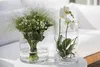 Dekoglas, Vase ZYLINDER COLD CUT H. 19cm D. 19cm Produktbild-Vorschau 2