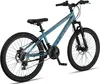Licorne Bike Thunder VTT haut de gamme en 20, 24, 26, 27,5 Voir les images du produit 3