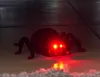 A close-up shot of a black toy spider with glowing red eyes, sitting on a textured surface. Produktbild-Vorschau