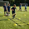 Agility rebrík 6 m s kužeľmi a taškou na tréning Náhľad obrázku produktu 2