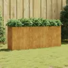 vidaXL vidaXL - Jardinière - surélevée - 200x40x80 - cm - Voir les images du produit 8