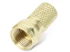 goobay Spina F Cu placcata oro L. ca. 20 mm gr. dado per Anteprima dell’immagine prodotto 2