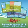 Adventure Time: Card Wars – Fionna vs. Cake – Zestaw Podgląd zdjęcia produktu 4