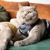 Suitical Recovery Suit® Cat schwarz camouflage, Größe: S Produktbild-Vorschau 5