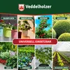 Veddelholzer 1000 ml Premium kaltgepresstes 100% Produktbild-Vorschau 3